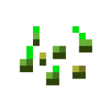 Wheat Seeds
